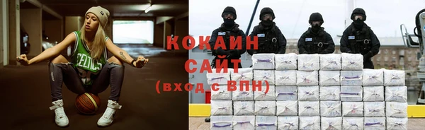стафф Ельня