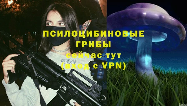 стафф Ельня