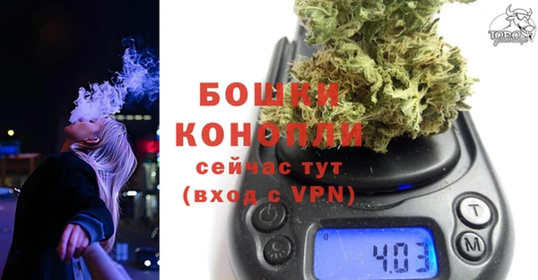 стафф Ельня