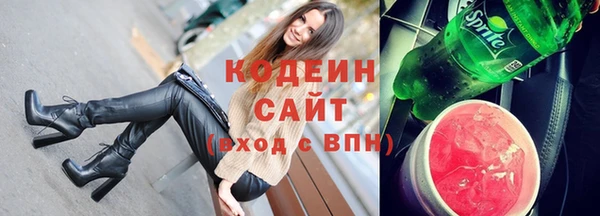 стафф Ельня
