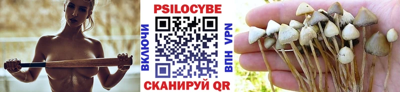 наркота  Иваново  Псилоцибиновые грибы мухоморы 